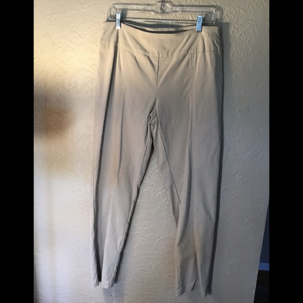Ankle Pants 10 worn couple of times